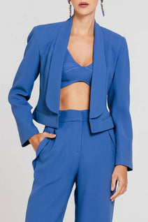 Blazer Ayla - Blues